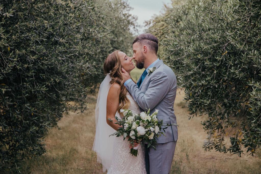 Olive Grove Intimate Wedding