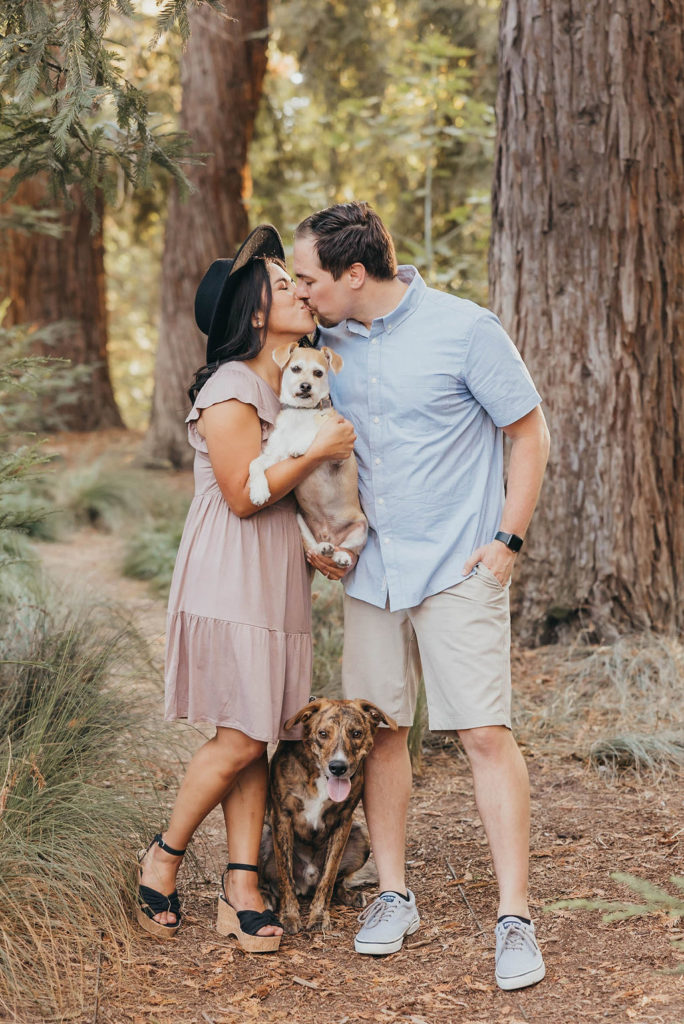 Couple posing for engagement pictures with two dogs at T. Elliot Weier Redwood Grove 
