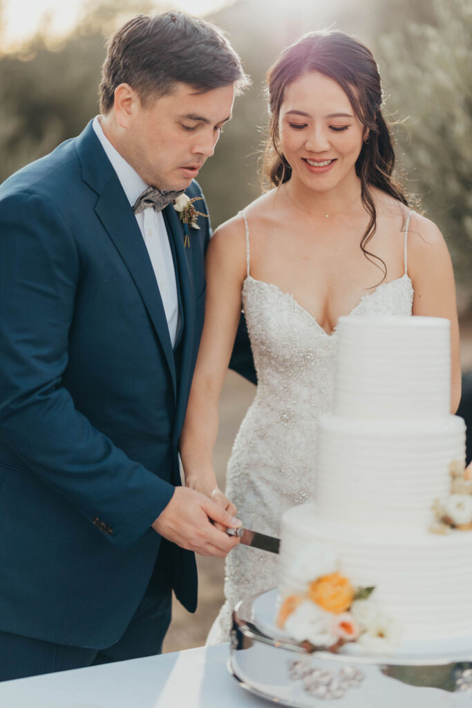 Bride and groom cutting their wedding cake 