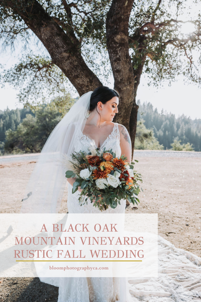 Bride portraits at Black Oak Mountain Vineyards in Cool, California