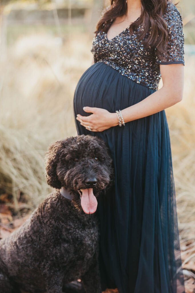 Fall maternity photos at Coyote Pond in Lincoln, California