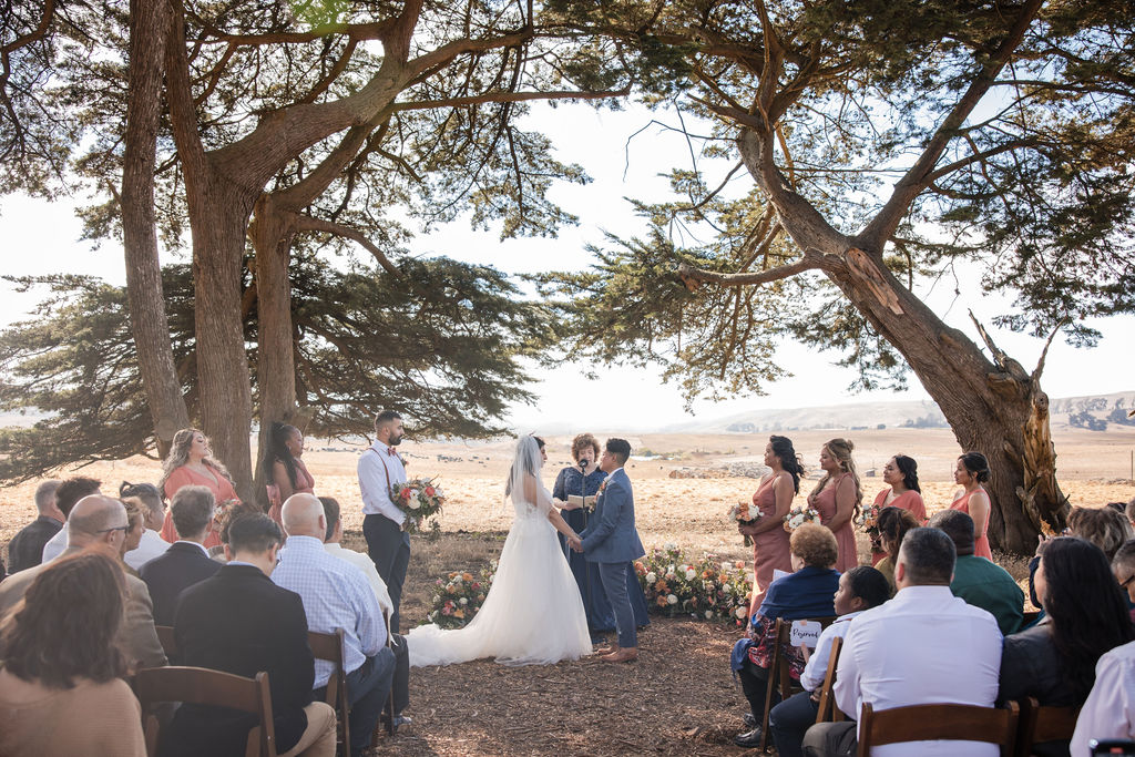 a wedding photoshoot session - stemple creek wedding venue